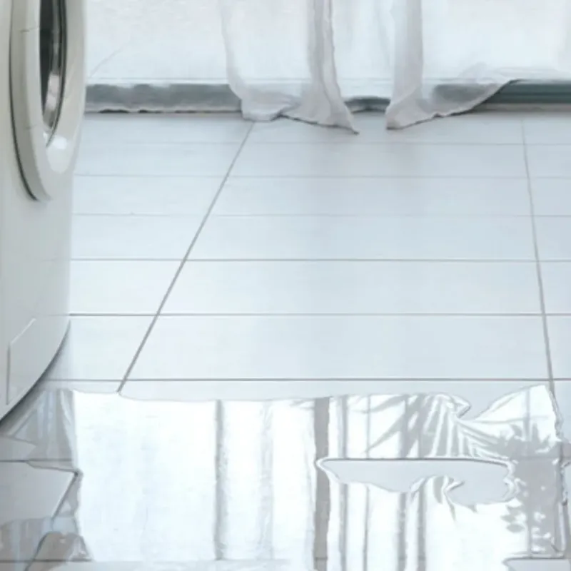 Appliance Leak Cleanup in Twin Lakes, VA