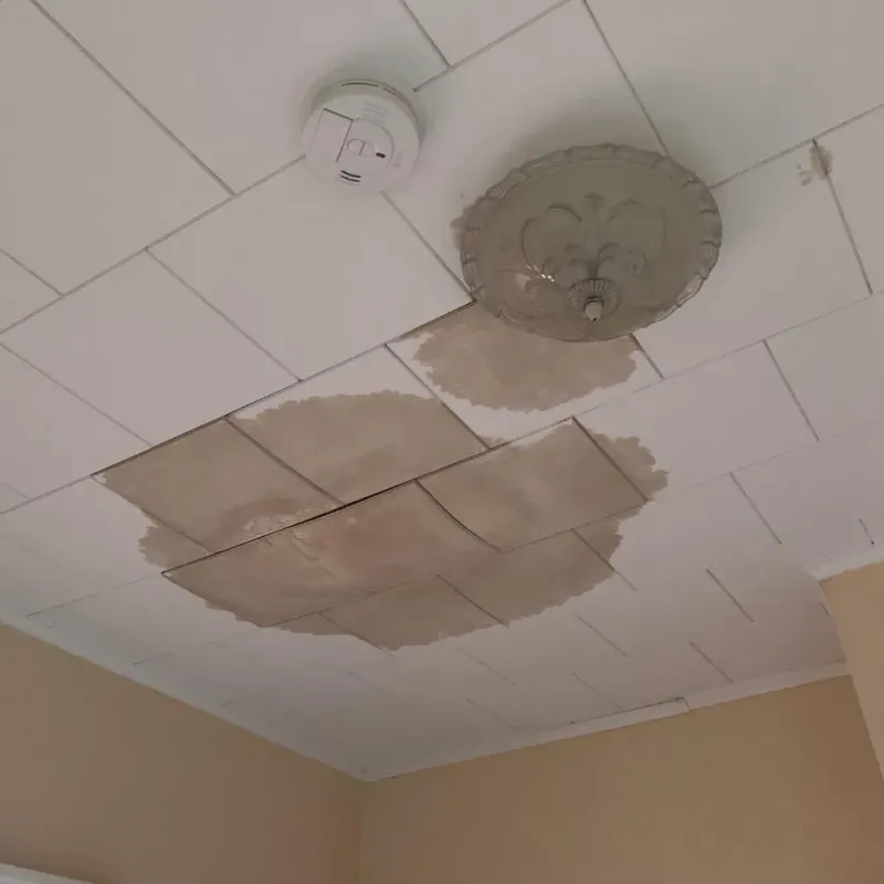 Ceiling Water Damage Repair in Twin Lakes, VA