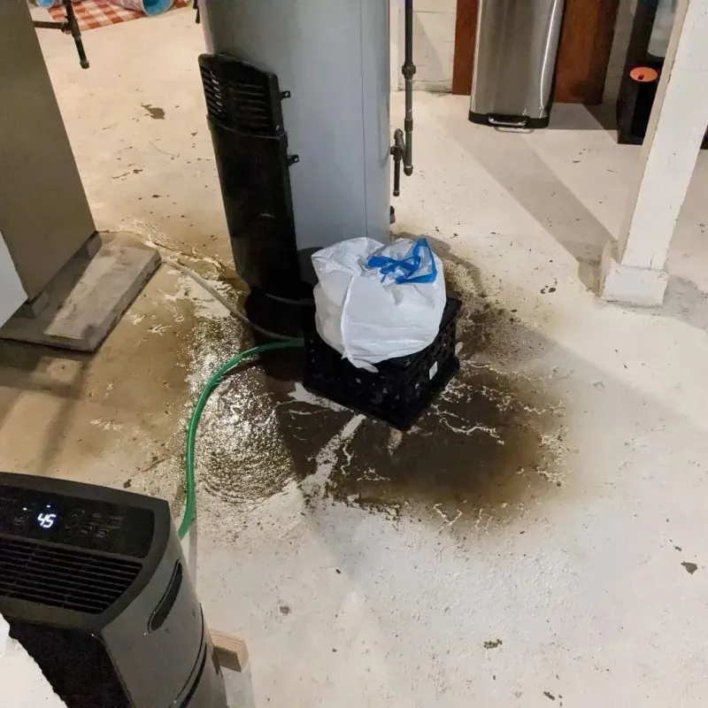 Sewage Backup Cleanup Service in Twin Lakes, VA